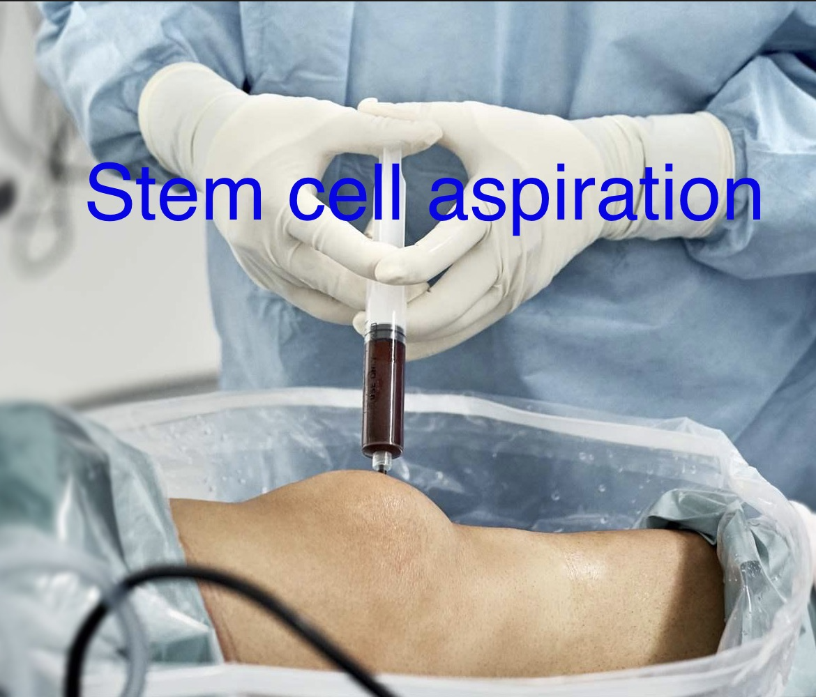 Biomolecular Orthopaedics